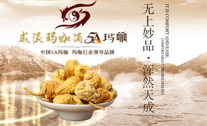 玛咖酒业公司网站设计