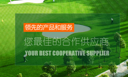 高尔夫用品公司网站设计