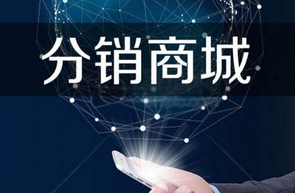 分销商城系统的运营技巧分析